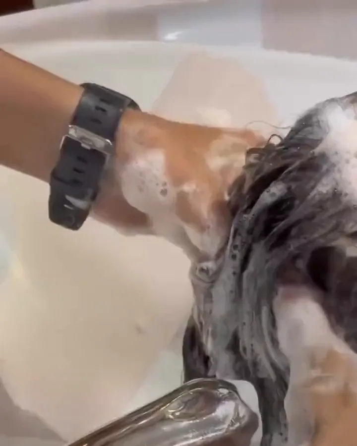 Close-up of a stylist's lathered hands washing a client's hair at the basin.