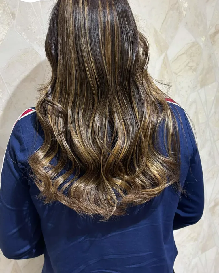The back of long brown hair with honey-toned sections running from the roots into waved ends.